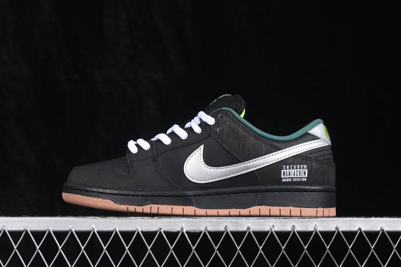 Nike SB Dunk Low Skateboarding Shoes - FQ7585-200