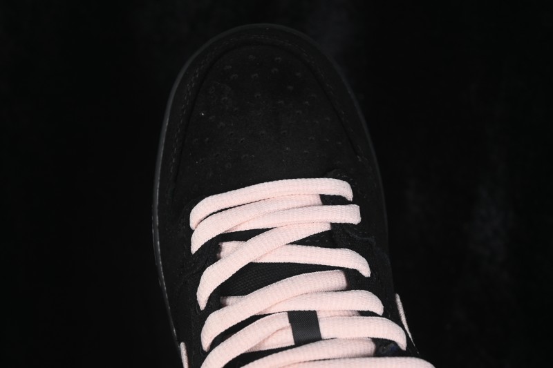 Nike SB Dunk Low Canvas Panel SB Low-Top Skateboarding Shoes - DX6775-400